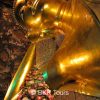 The Reclining Buddha at Wat Pho. Visit the reclining Buddha temple on our private Bangkok city tours.