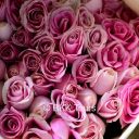 Roses are sold in bulk at Bangkok's biggest flower market