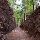Hellfire Pass was built using simple tools by allied soldiers during World War II, a walk through the pass is a moving experience on our private tour from Bangkok.
