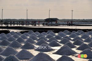 Visit the salt farms on a private tour to the floating markets from Bangkok. White fields with layers of salt remain after the sea water has evaporated.