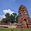 Wat Mahathat temple ruin in Ayutthaya