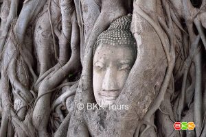 Visit Wat Mahathat on a tour from Bangkok to Ayutthaya. Famous for the head of a sandstone Buddha image entwined in the roots of a Bodhi tree.